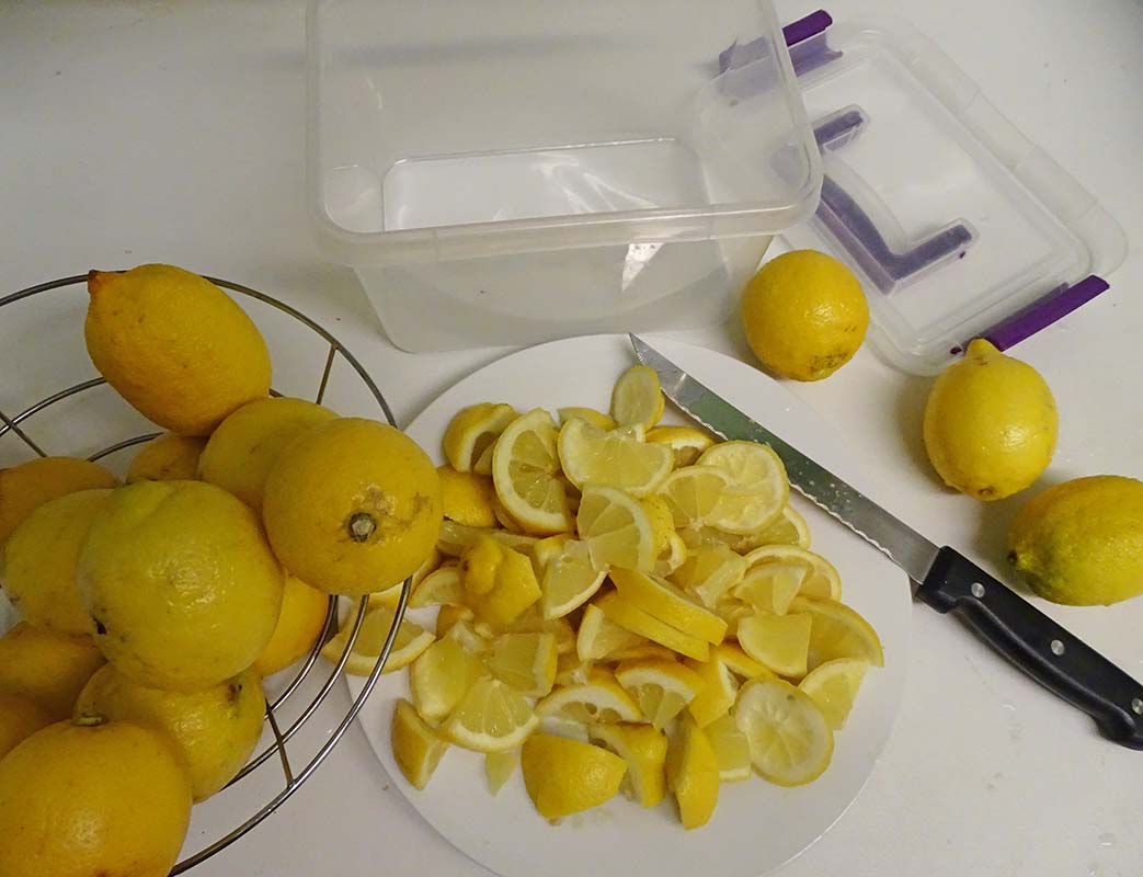 Tips: Never run out of Lemons as the season changes