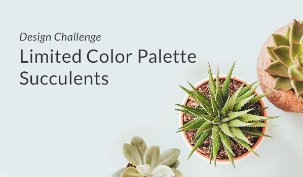 Design challenge: Succulents plant design in limited colour design challenge by Spoonflower