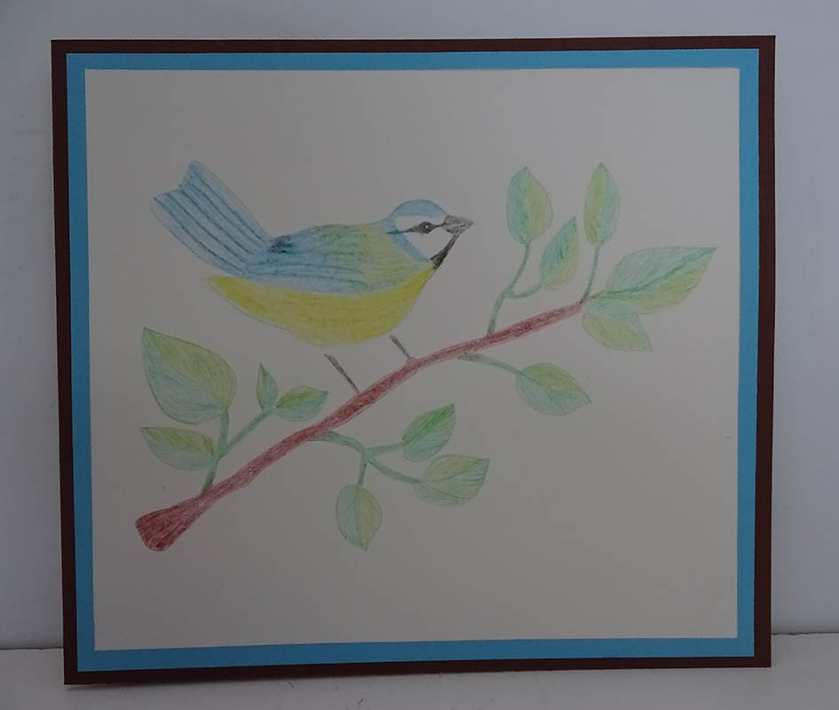 Tutorial- Craft of stencil cardmaking:  Coloured Blue tit(Garden bird) greeting card using the PlaidCrafts (Plaid Enterprise®) bird on branch stencil