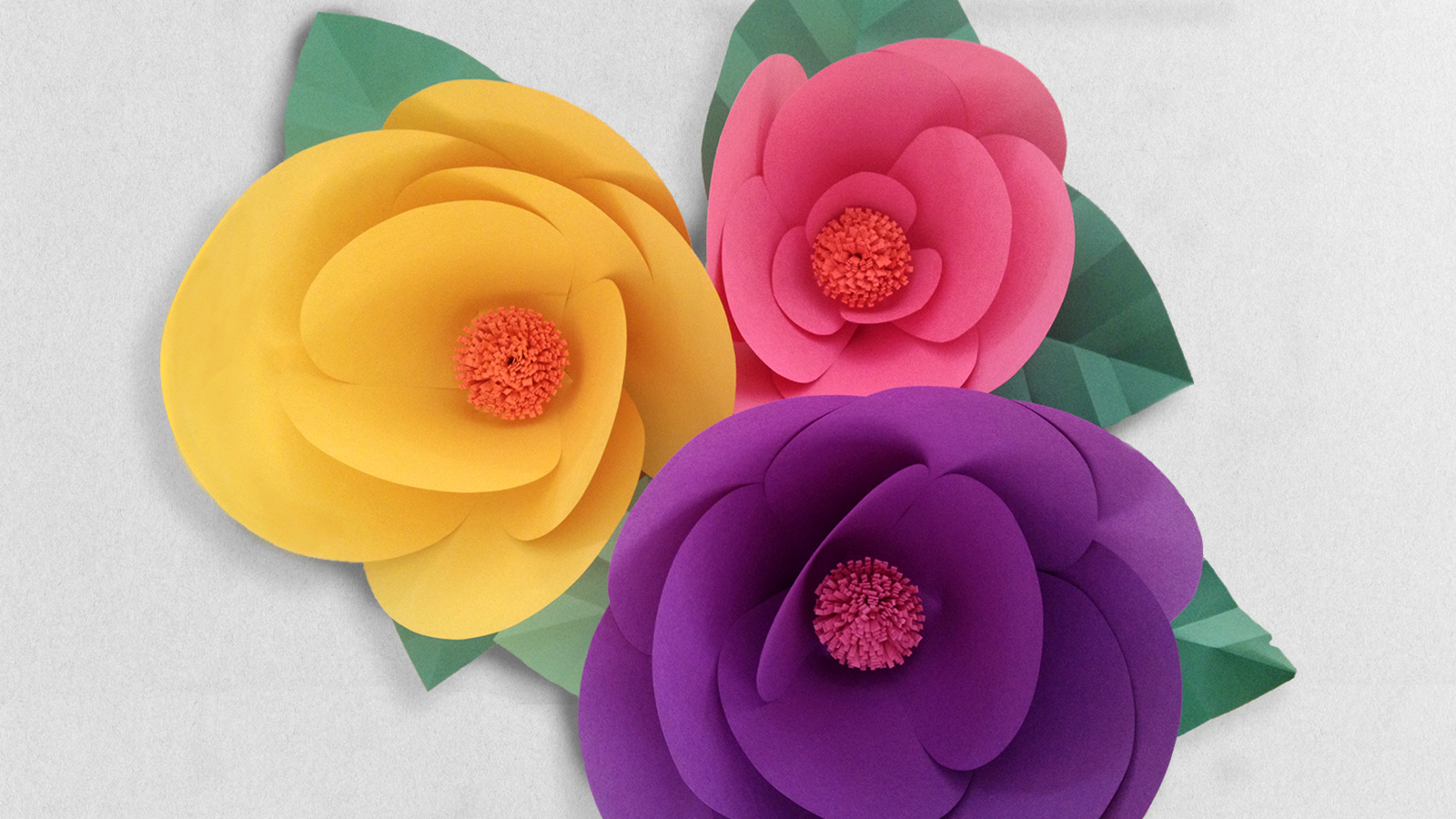 Class: Learn the art of paper flowers and make Paper flowers with Robert Mahar on Creativelive at 9am(PDT) Wednesday 29th and 9am(PDT) Thursday 30th of March 2017