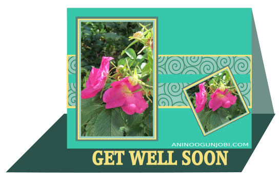 “Get well soon” greeting card tag for the month of May 2017