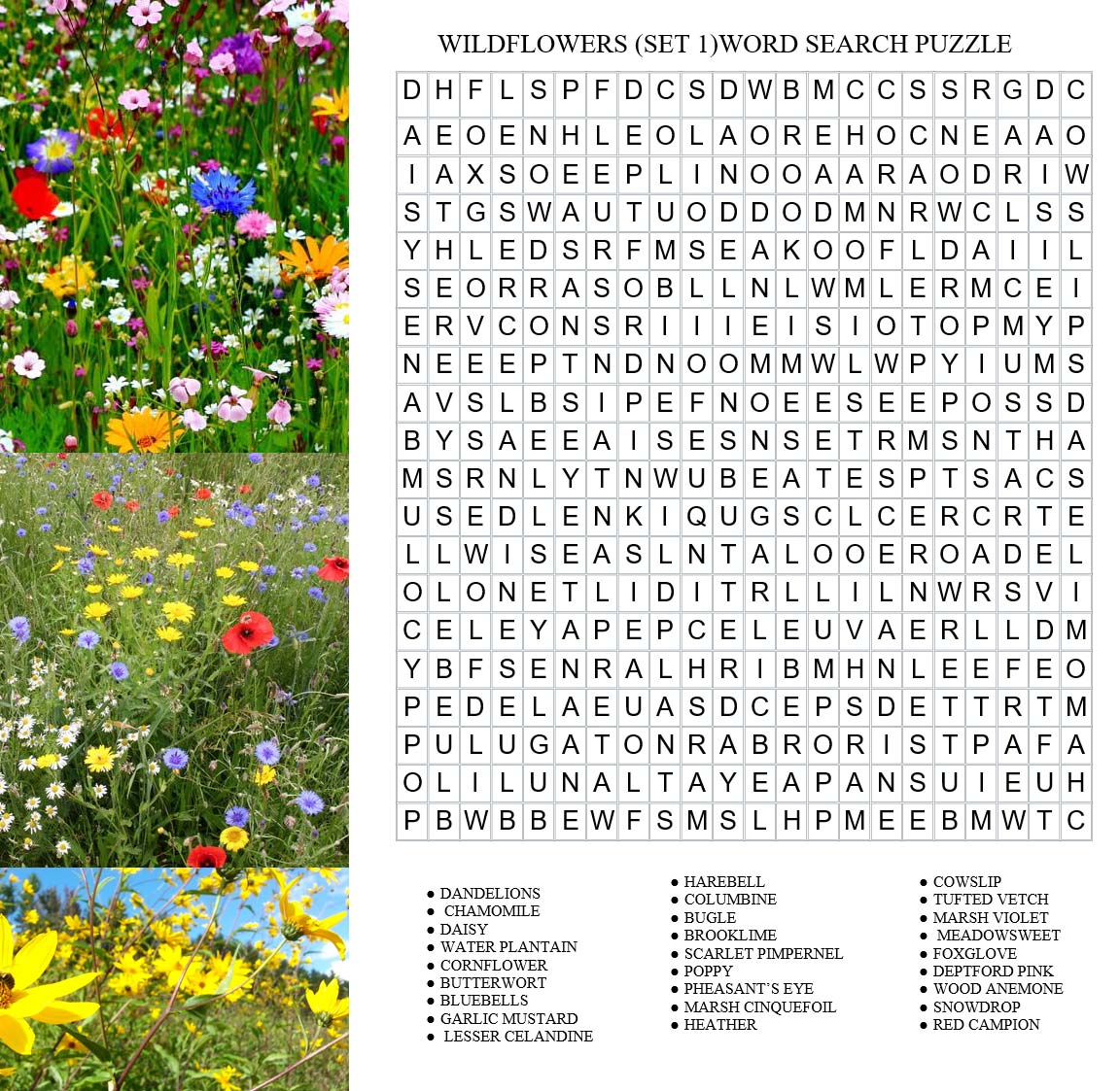 Free wordsearch puzzle: Wildflowers set 1 (When the sun shines, we relax with a wordsearch puzzle)