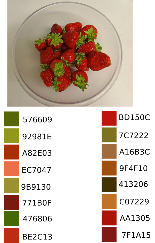 Day 19 of 30 days with Strawberry: Make a colour palette from the strawberries