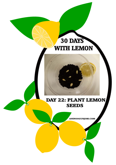 Day 22 Of 30 Days With Lemon: Plant Lemon Seeds