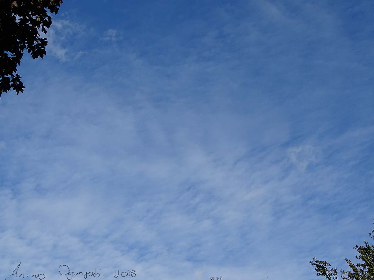 30 Days with Clouds: Day 1- Cirrus Cloud