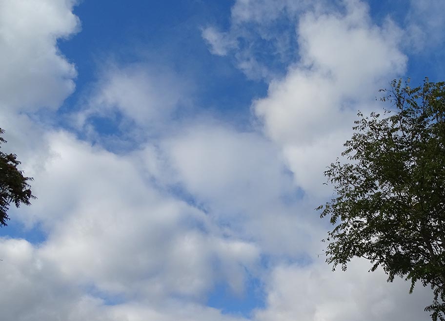 30 Days with Clouds: Day 4- Cumulus Clouds