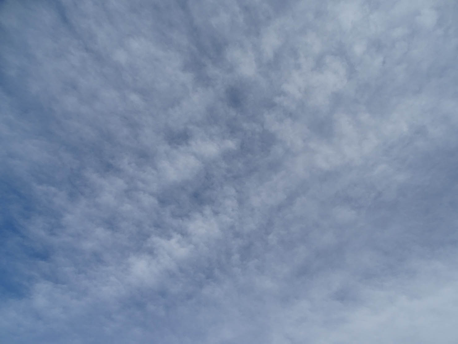 30 Days with Clouds: Day 8- Cirrocumulus Stratiformis Cloud