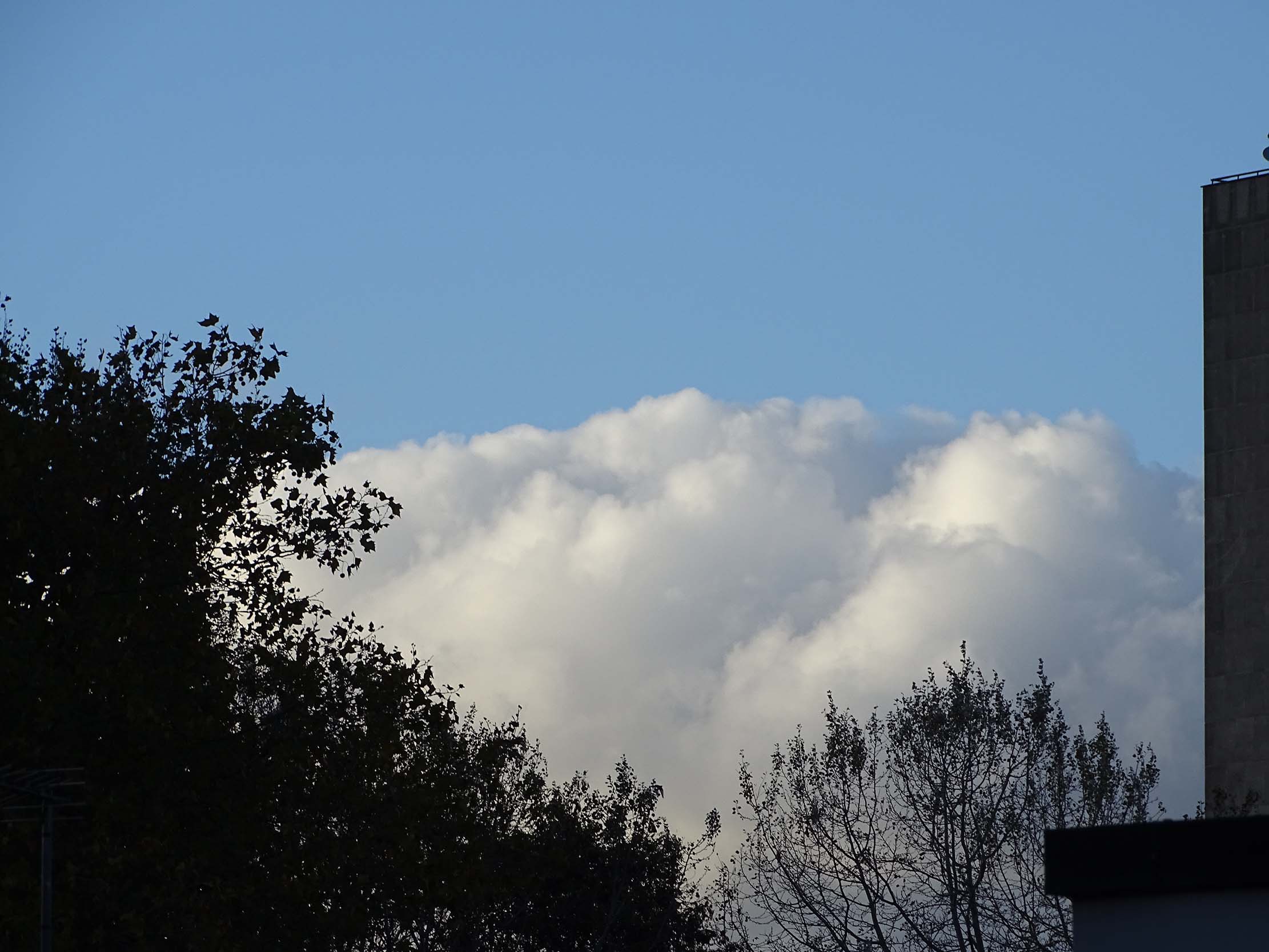 30 Days with Clouds: Day 9- Cumulus Humilis Cloud