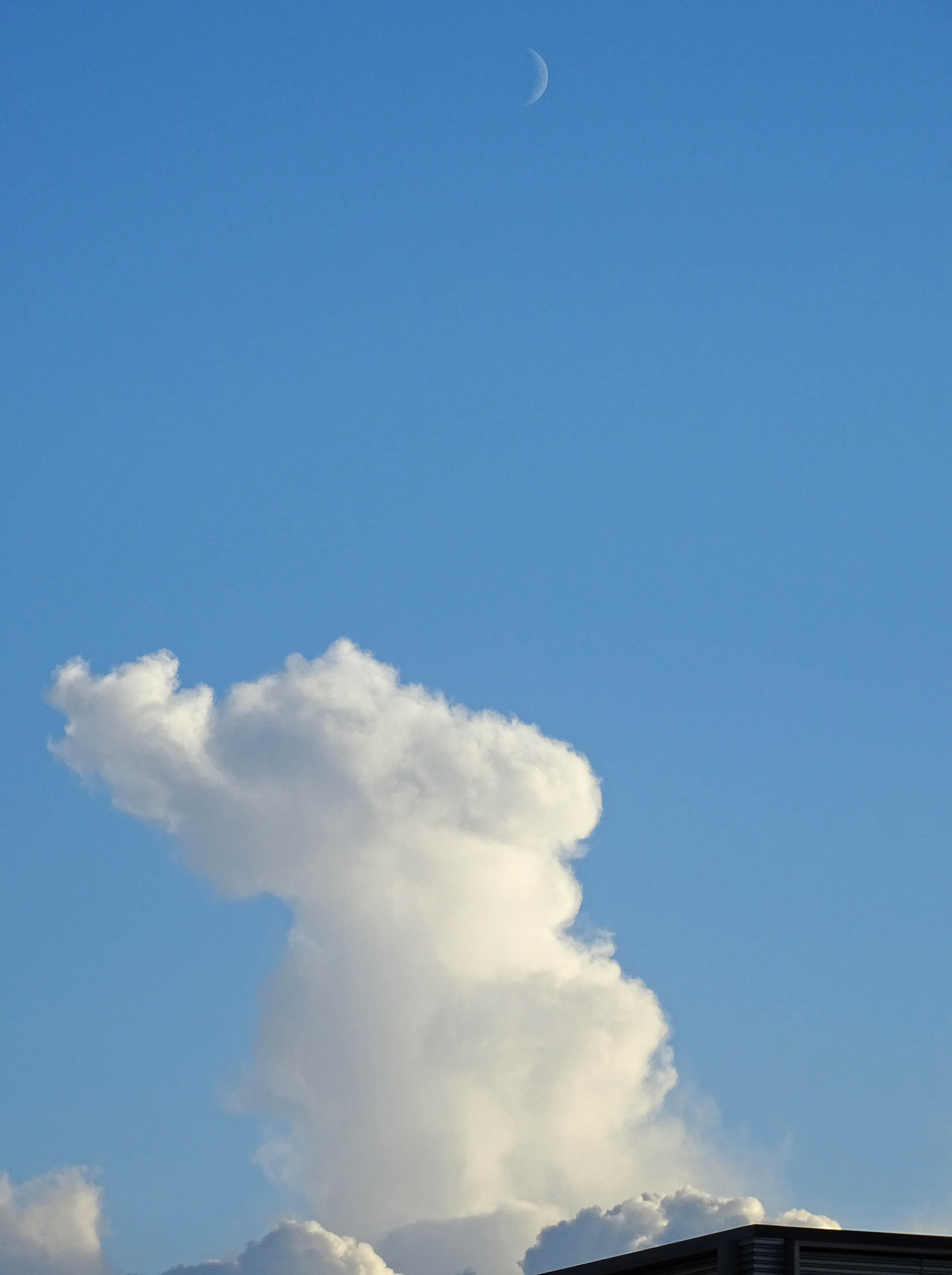 30 Days With Clouds: Day 12 – Cumulus Congestus