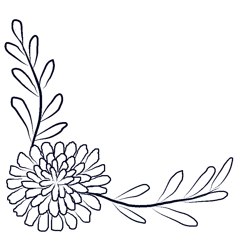 Line art- Flower Drawing Day 14: Calendula Flora Spray