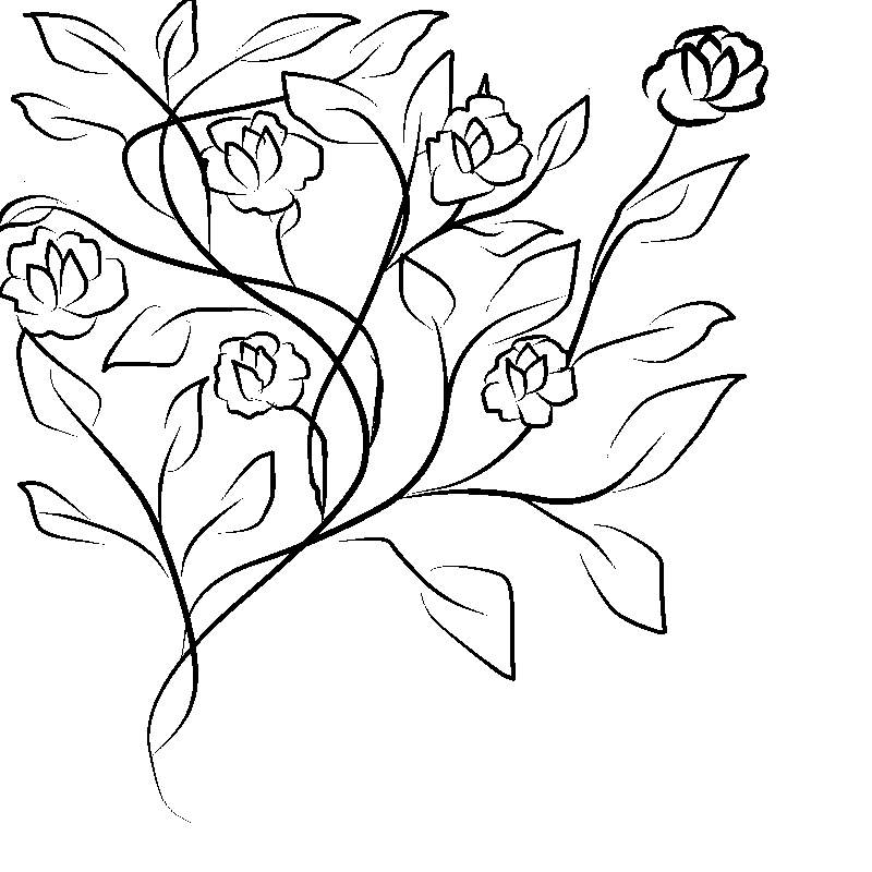 Line art- Flower Drawing Day 17: Climbing Floral