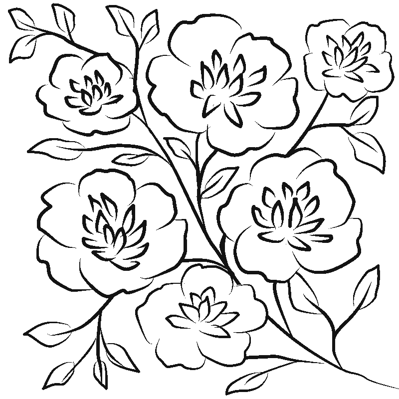 Line art- Flower Drawing Day 18:  Floral Display