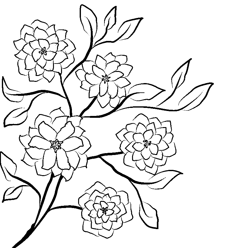 Line art- Flower Drawing Day 19:  Floral Display