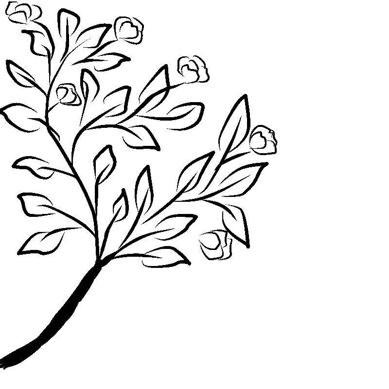 Line art- Flower Drawing Day 20: Floral Display