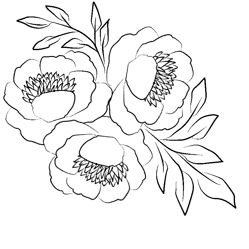 Line art- Flower Drawing Day 22: Peony Floral Display