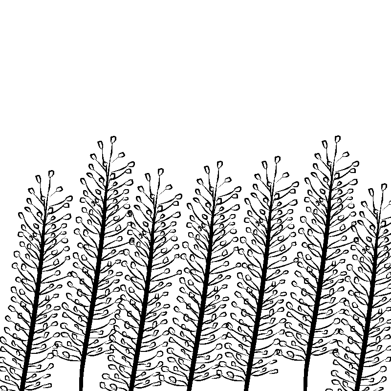 Line art- Flower Drawing Day 23: Spires Border Display