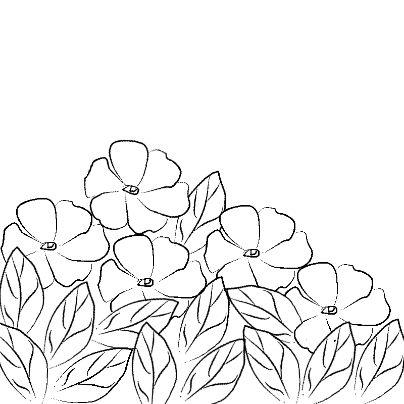 Line art- Flower Drawing Day 24: Primrose Floral Display