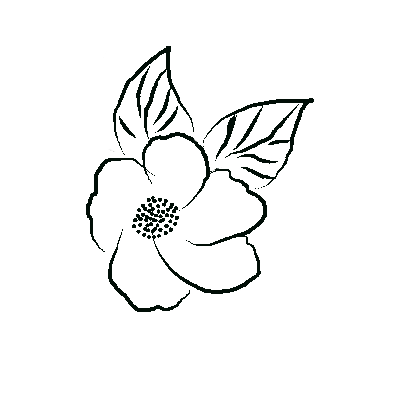 Line art- Flower Drawing Day 4: Floral