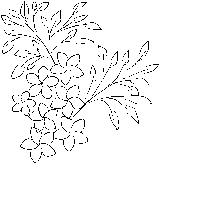 Line art- Flower Drawing Day 5: Floral Spray