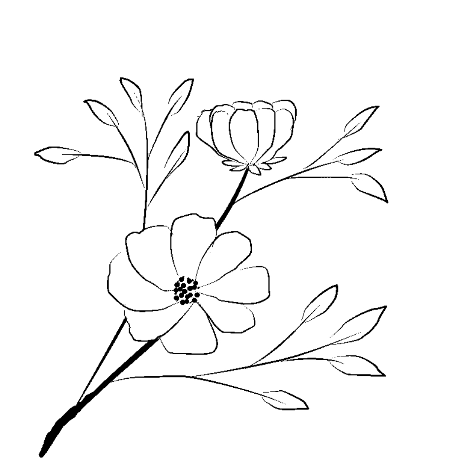 Line art- Flower Drawing Day 7: Floral Spray