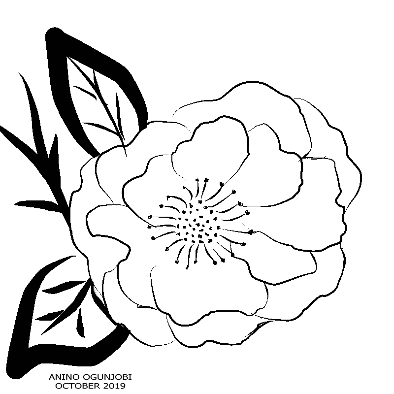 Daily Art Exercise: Day 4- Flower lineart using Clip Studio Paint