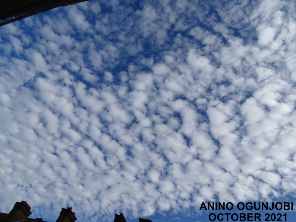 Photography: Altocumulus Stratiformis Perlucidus Undulatus Cloud