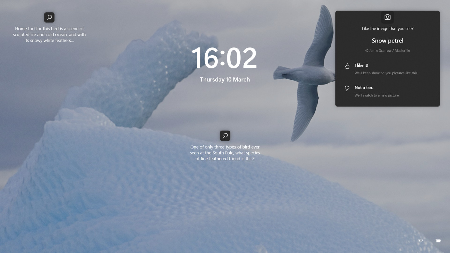 Screensaver / Lock Screen: Snow Petrel displays its ‘soaring skills’ on computer lockscreen/ screensaver