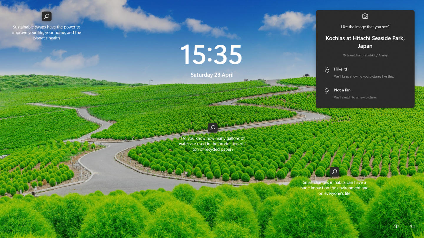 Screensaver / Lock Screen: Kochias at Hitachi Seaside Park, Japan in ‘Greenery Glow’ on computer lockscreen