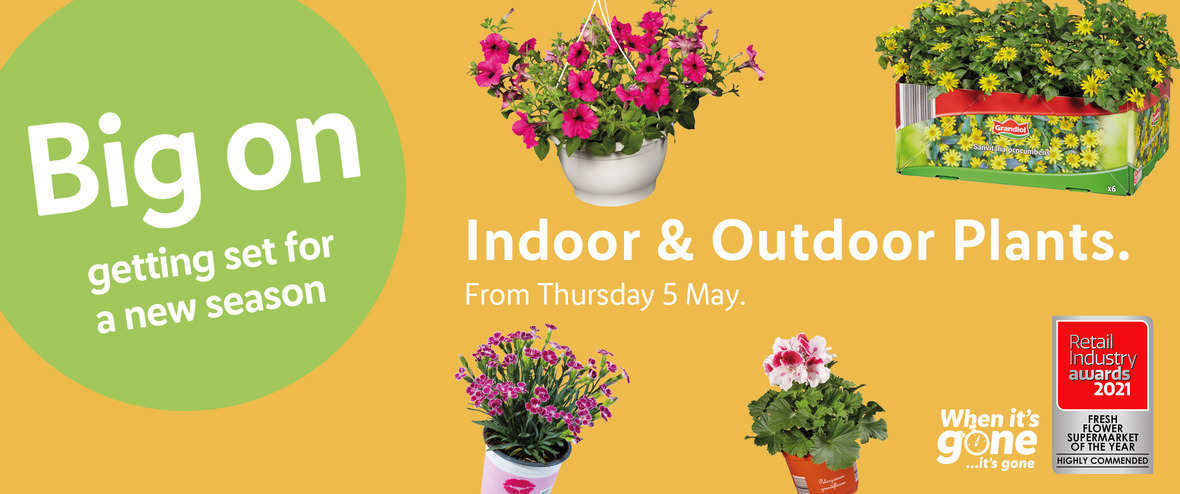 In for the gardening season, Lidl features some indoor and outdoor plants this week