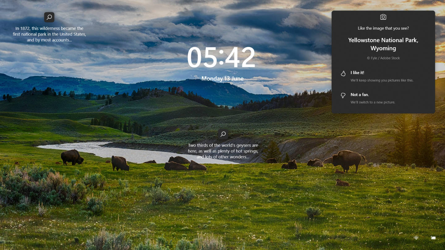 Screensaver / Lock Screen: American bison in Yellowstone National Park, Wyoming, USA in scenic pose on computer lockscreen