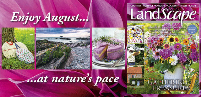 “Treasures Gathering” take effect as Landscape Magazine August 2022 hits newsstands