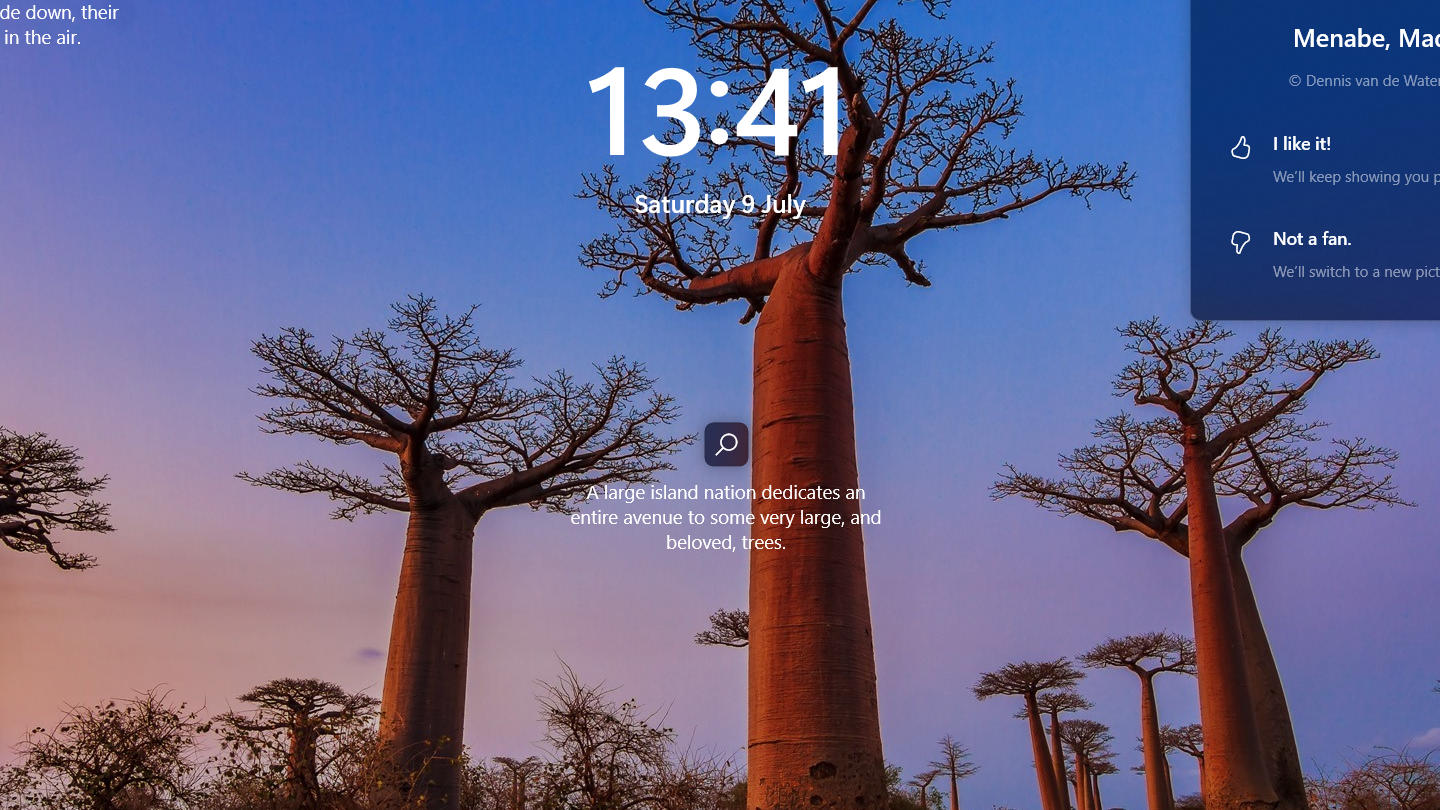 Screensaver / Lock Screen: Avenue of the Baobabs on the island of Madagascar on Computer LockScreen