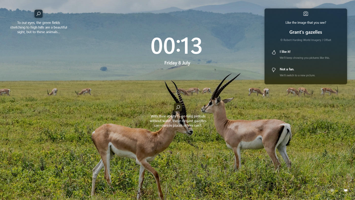 Screensaver / Lock Screen: Grant’s gazelles in Ngorongoro Crater, Tanzania on Computer lockscreen